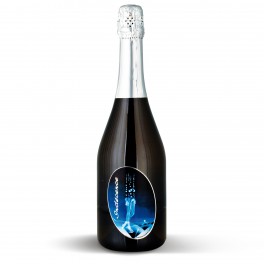 Indécence Brut Indécence Brut